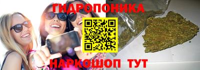 марихуана Краснознаменск