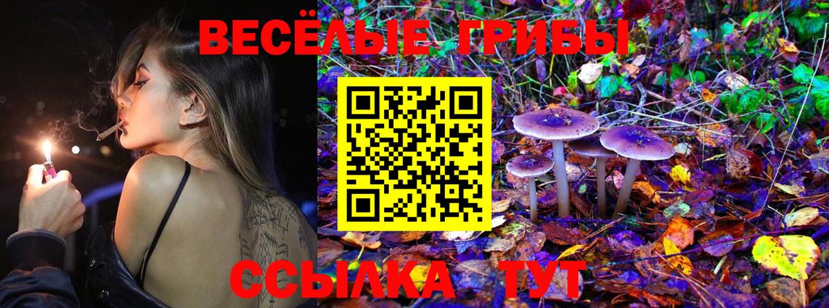 Галлюциногенные грибы Psilocybine cubensis  Вход с VPN  Костомукша  Галлюциногенные грибы Psilocybine cubensis 